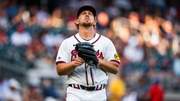 业内人士分 业内人士分