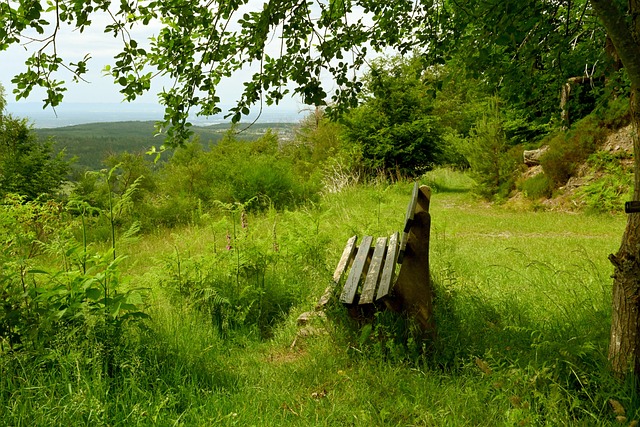 的各個方面 的各個方面