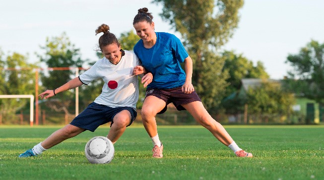 他们多次展 他们多次展