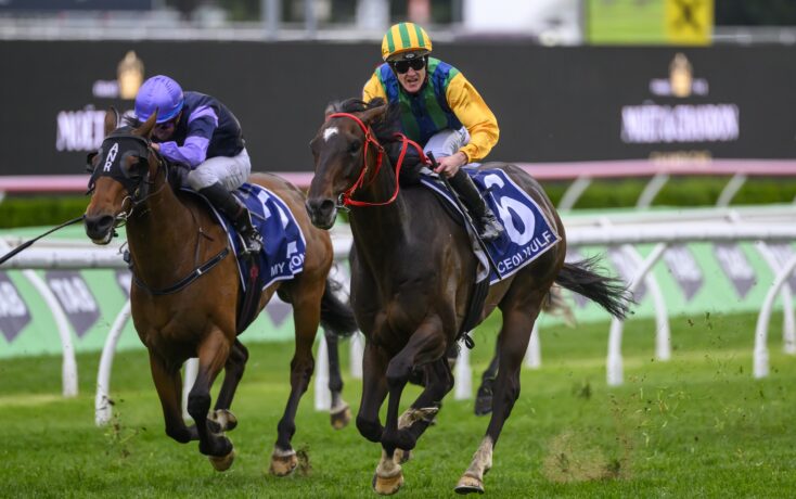 他更追求靈 他更追求靈