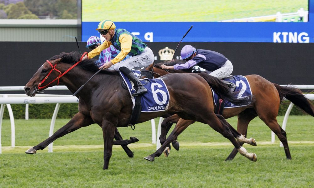 这位曾在欧 这位曾在欧